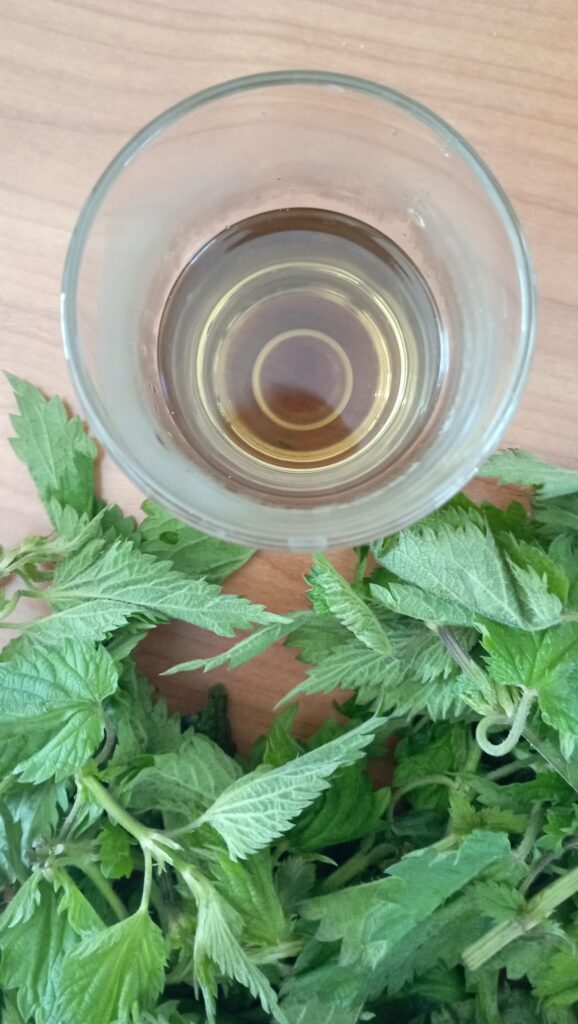 ortica proprietà usi quotidiani