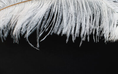 Significato del bianco colori e salute