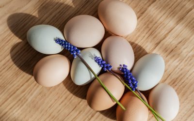 uova salute e uovo sbattuto